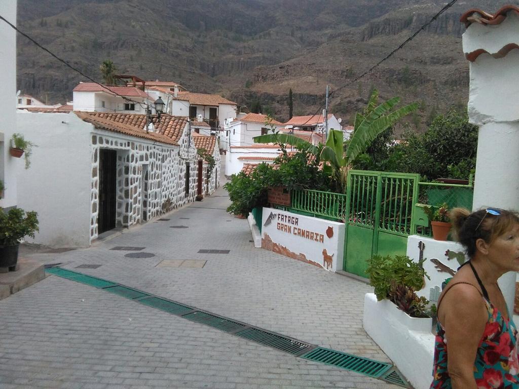 Casa Elisa Canarias Guest House Fátaga Екстериор снимка